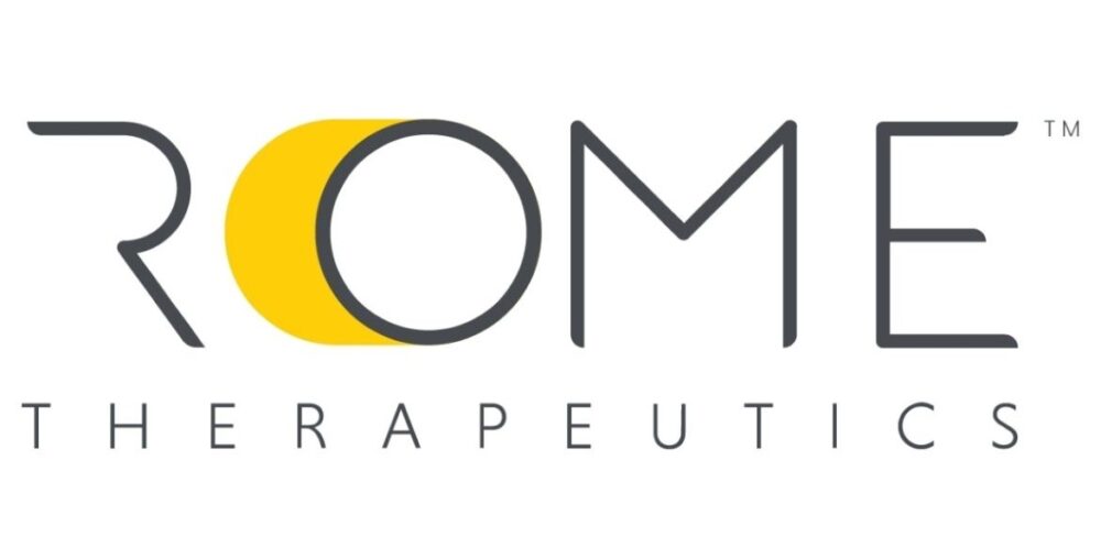 John Doe's profile picture